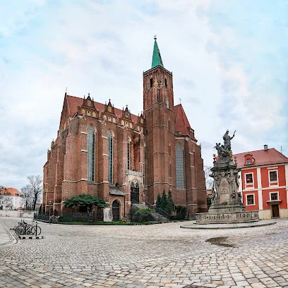 Kolegiata Świętego Krzyża i św. Bartłomieja